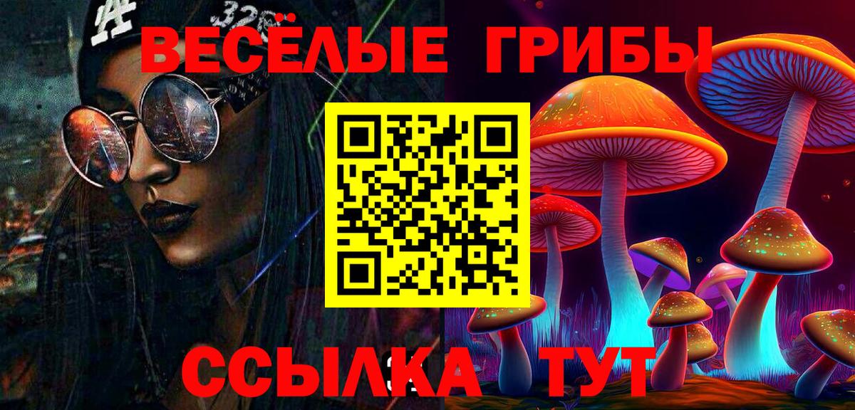 Псилоцибиновые грибы мухоморы Каменка