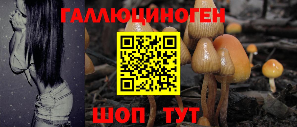 Псилоцибиновые грибы Cubensis  Вход с VPN  Галлюциногенные грибы GOLDEN TEACHER  Каменка 